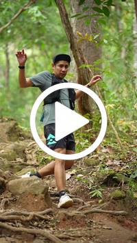 BIB:  <button type="button" onclick="openModal(27587814)" class="btn btn-primary btn-sm float-right" data-toggle="modal" data-target=".modal-high-quality">
                <i class="fa fa-download"></i> Download
                </button>